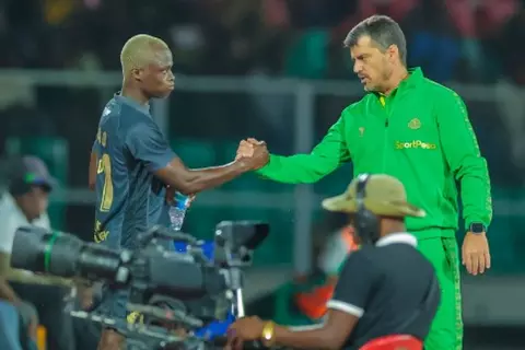 قبل مواجهة الأهلي.. ثنائي يانج أفريكانز الأفضل في الدوري التنزاني